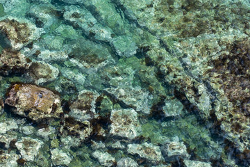 sea picture with clear water with bottom traces
