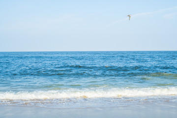 Ocean. Beach with white sand and blue sky. Sea shore