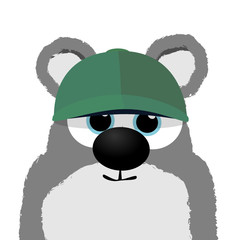 Koala Bär © Brand75