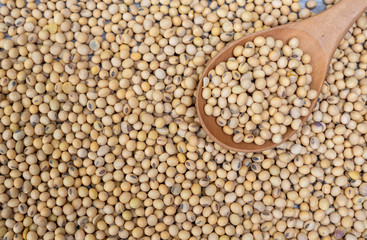 Top view of soybean with wooden spoon 