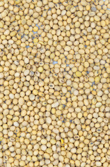 Top view of soybean background