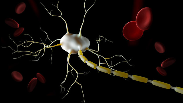 3d Illustration of Neuron anatomy, infographic isolated black