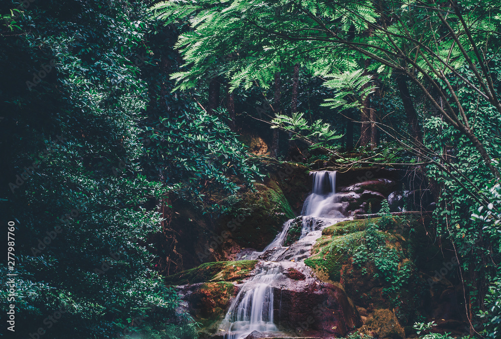 Wall mural soft water of the stream in the natural park, beautiful waterfall in rain forest