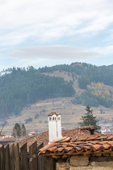 Chimney and tree