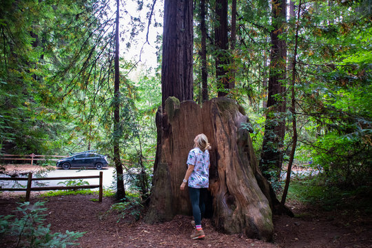 Girl in redwoods in Northern California