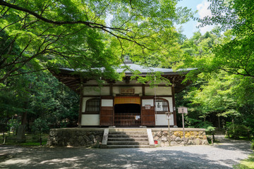 京都　地蔵院　竹の寺　本堂