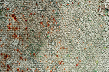 Metal texture with scratches and cracks which can be used as a background