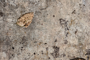 Texture of a concrete wall with cracks and scratches which can be used as a background