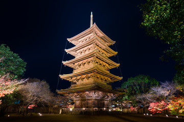 京都　東寺の五重塔　夜景
