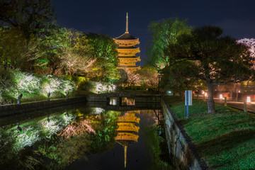 京都　東寺　五重塔　夜景