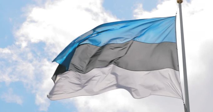 Tallinn, Estonia. Flag Of Estonia Waving In Windy Day.