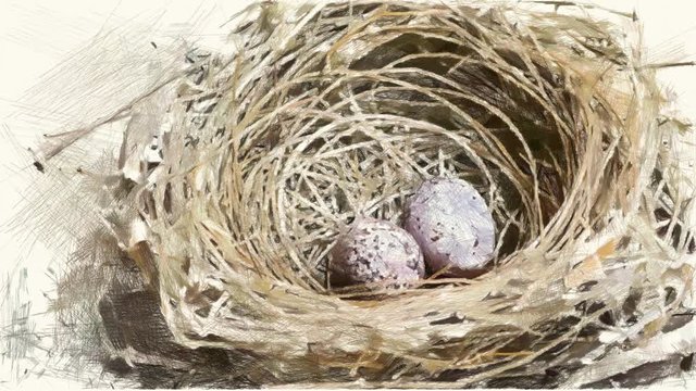 art drawing color of egg in bird nest