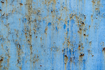 The background is a peeling metallic surface in blue. texture Old blue, paint peeling off a metallic surface.
