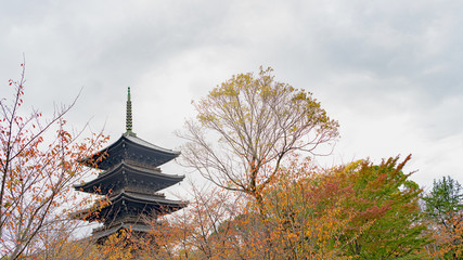 古都京都 東寺の秋景色