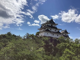 Wakayama castle