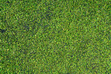 Sports background. Artificial lawn pattern of the stadium. Texture of the combined artificial football field. Copy space, top view, space for text. 