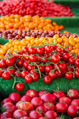 Tomaten - Strauch - Markt