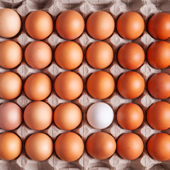 Chicken eggs in the package top view