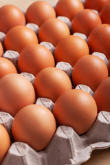 Chicken eggs in the package top view
