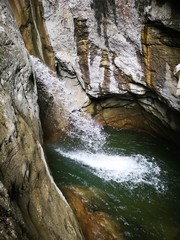 Alpen Natur Wald Wildnis