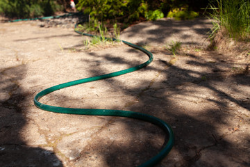 Sunny day in backgarden. Irrigation system. Watering the green lawn. Rubber hose on the garden path. ..