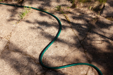 Sunny day in backgarden. Irrigation system. Watering the green lawn. Rubber hose on the garden path. ..
