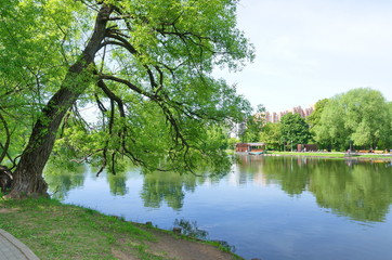 Fototapeta na wymiar Vorontsov pond in Vorontsov Park, Moscow, Russia