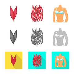 Vector design of fiber and muscular logo. Collection of fiber and body stock symbol for web.