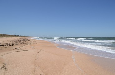 View of the sandy beach and the sea with frothy waves.