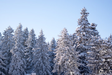 Winter in the mountains