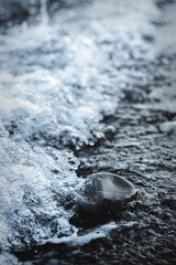 Lonely stone by the sea