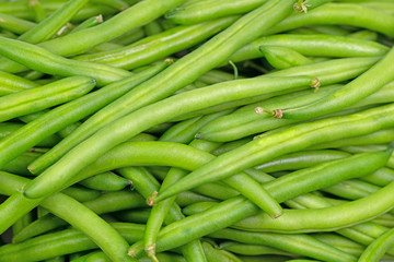 Grüne Bohnen, Phaseolus vulgaris