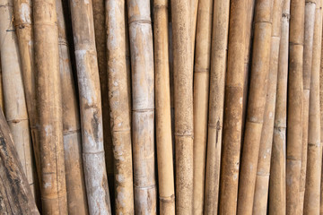 brown bamboo pile prepare for construction building materials