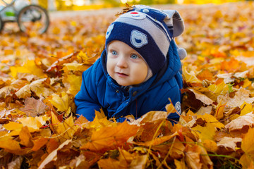 baby in autumn leaves