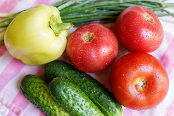 Composition with assorted raw organic vegetables. Detox diet