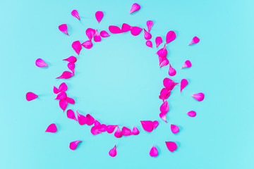 pink petals laid out in the shape of the sun on a blue background