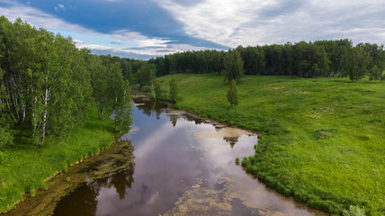 Water in beautiful forest