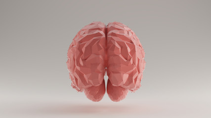 Brain Pink Futuristic Artificial Intelligence Polygon Rear View 3d illustration 3d render