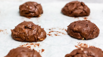 Brownie cookies with nuts   in round shape after baked on white background