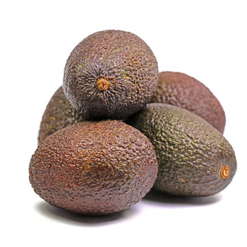 Avocados, Persea gratissima, vor wei&szlig;em Hintergrund