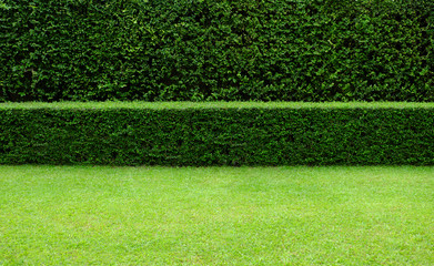Long tree hedge, double layers (two steps); small and tall hedge.	
