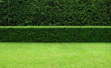 Long tree hedge, double layers (two steps); small and tall hedge.	