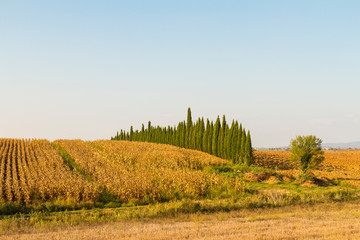 Campagna toscana in giornata serena