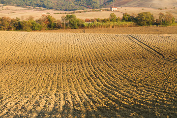 plowed field