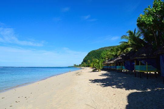 230 Best サモア Images Stock Photos Vectors Adobe Stock