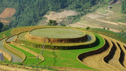 Terraced fields in Mu Cang Chai district, Yen Bai province, Vietnam