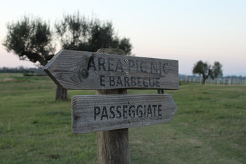 Meditation in nature