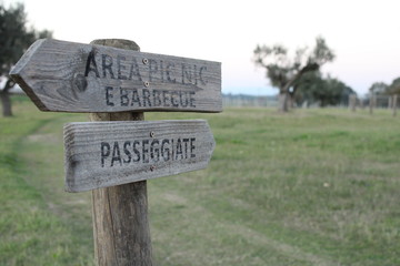 Meditation in nature