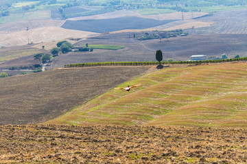 Fototapeta premium Countryside landscape in Tuscany: cultivated fields in the hills