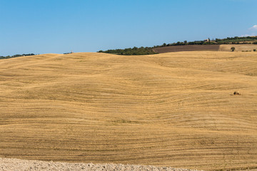 Fototapeta na wymiar Countryside landscape in Tuscany: cultivated fields in the hills